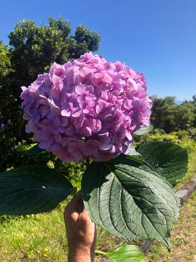 Rosa Cha Villa Santo Amaro  Eksteriør billede